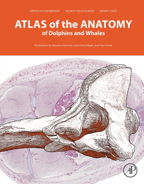 Cover image for book Atlas of the Anatomy of Dolphins and Whales