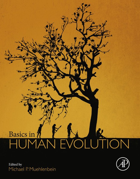 Cover image for book Basics in Human Evolution
