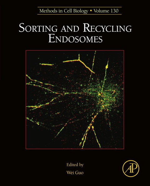 Cover image for book Sorting and Recycling Endosomes