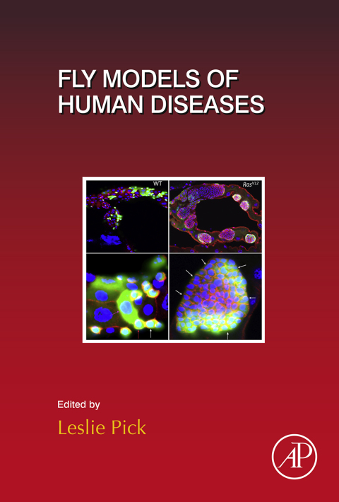 Cover image for book Fly Models of Human Diseases