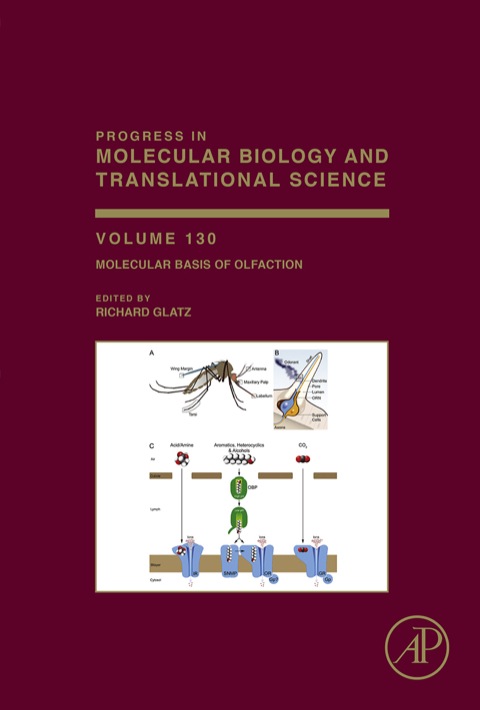 Cover image for book Molecular Basis of Olfaction
