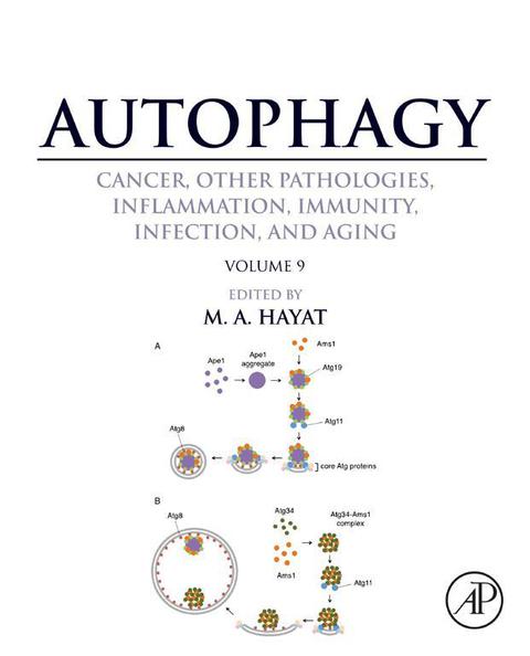 Cover image for book Autophagy: Cancer, Other Pathologies, Inflammation, Immunity, Infection, and Aging: Volume 9: Human Diseases and Autophagosome