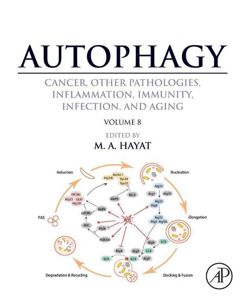 Cover image for book Autophagy: Cancer, Other Pathologies, Inflammation, Immunity, Infection, and Aging: Volume 8- Human Diseases