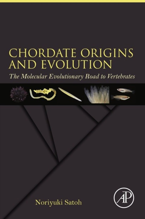 Cover image for book Chordate Origins and Evolution