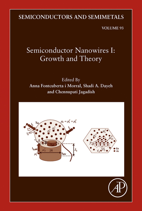 Cover image for book Semiconductor Nanowires I: Growth and Theory