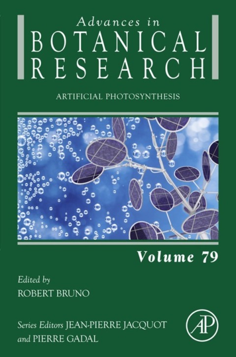 Cover image for book Artificial Photosynthesis