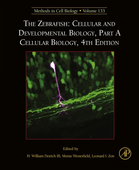 Cover image for book The Zebrafish: Cellular and Developmental Biology, Part A Cellular Biology