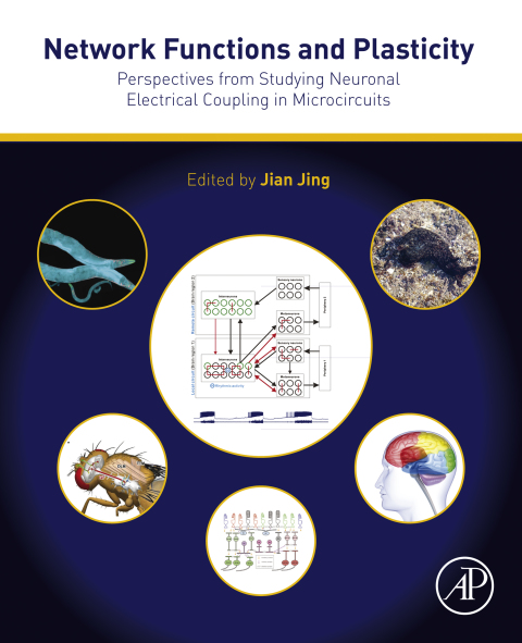 Cover image for book Network Functions and Plasticity