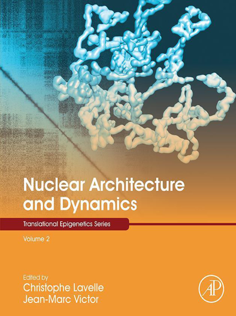 Cover image for book Nuclear Architecture and Dynamics
