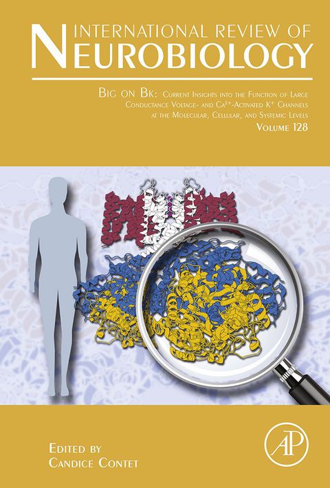 Cover image for book Big on Bk: Current Insights into the Function of Large Conductance Voltage- and Ca2+- Activated K+ Channels at the Molecular, Cellular and Systemic Levels