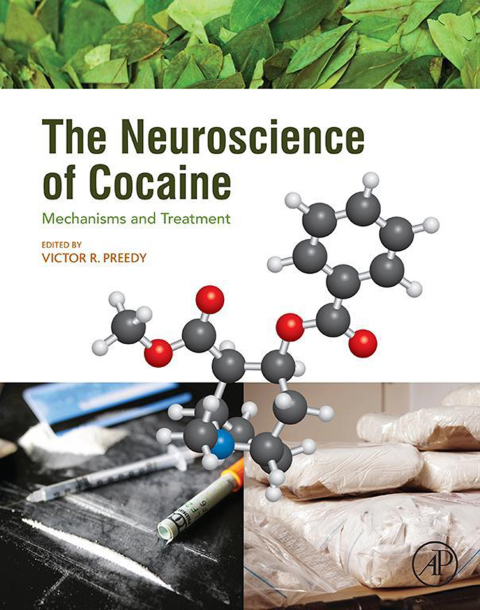 Cover image for book The Neuroscience of Cocaine