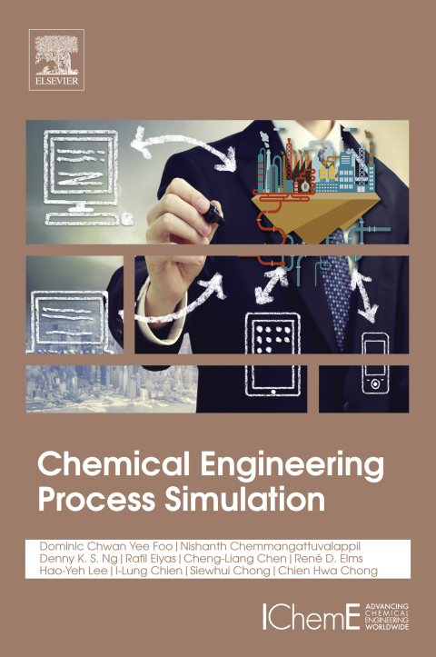 Chemical Engineering Process Simulation 