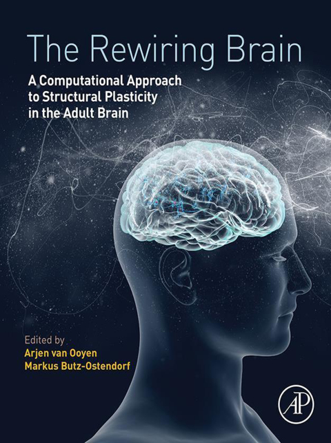 Cover image for book The Rewiring Brain