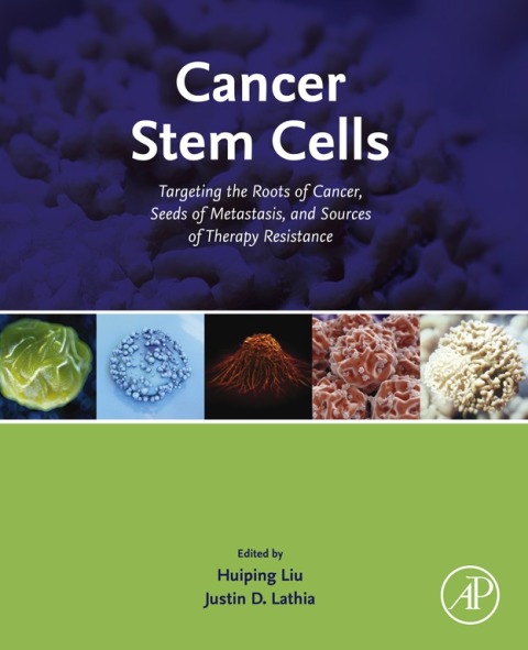 Cover image for book Cancer Stem Cells