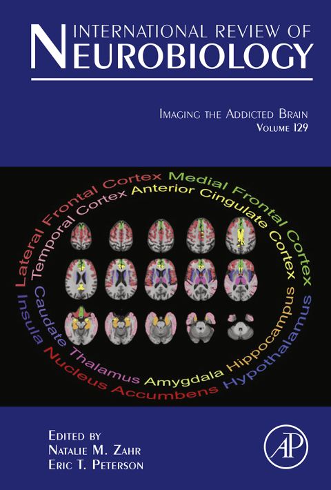 Cover image for book Imaging the Addicted Brain