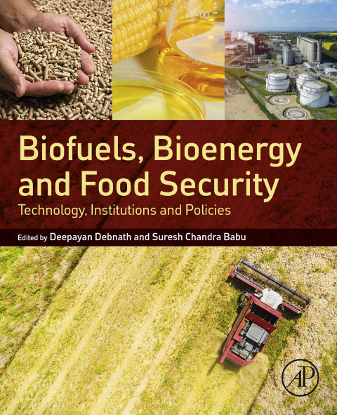 Cover image for book Biofuels, Bioenergy and Food Security