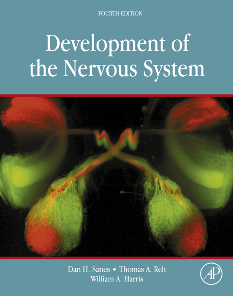 Development of the Nervous System 
