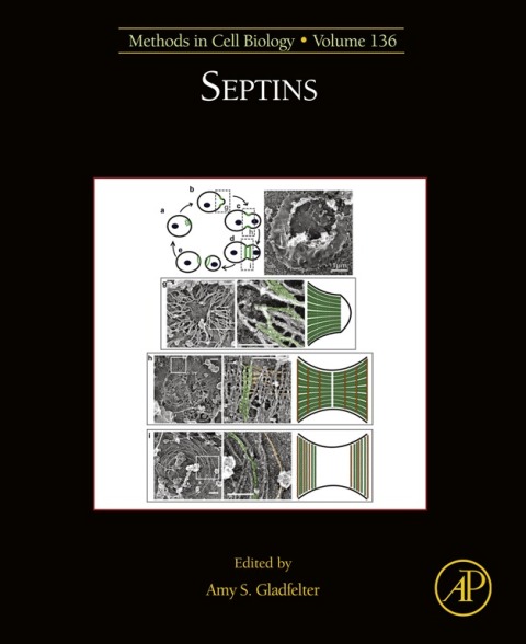 Cover image for book Septins