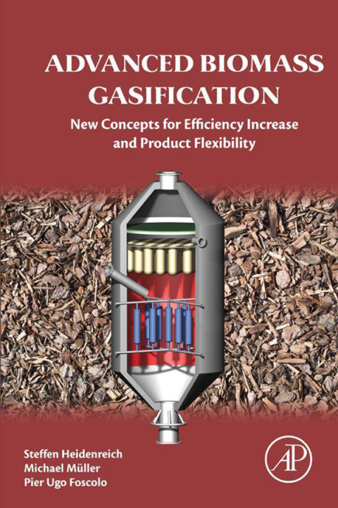 Cover image for book Advanced Biomass Gasification
