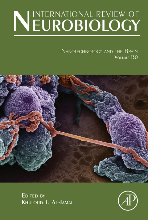 Cover image for book Nanotechnology and the Brain