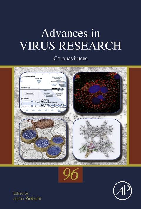 Cover image for book Coronaviruses