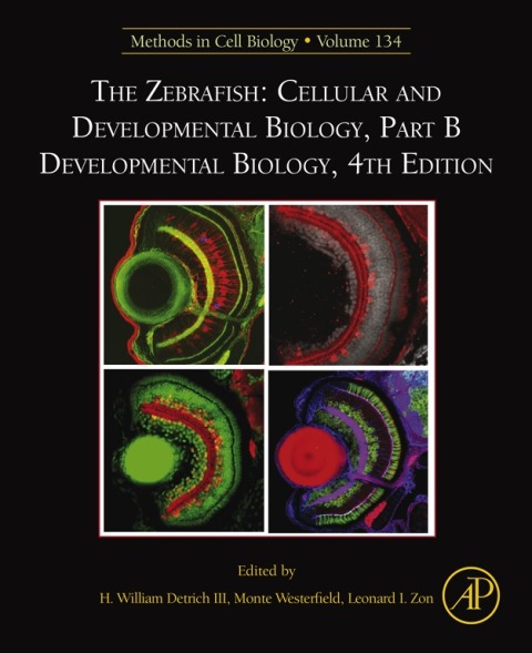 Cover image for book The Zebrafish: Cellular and Developmental Biology, Part B Developmental Biology