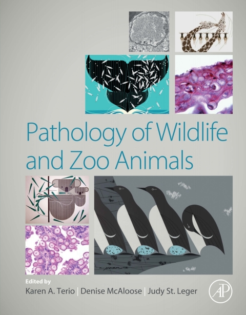 Cover image for book Pathology of Wildlife and Zoo Animals