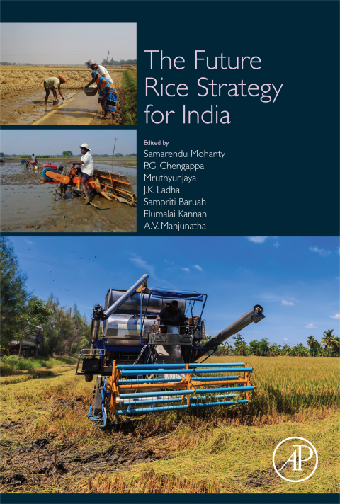 Cover image for book The Future Rice Strategy for India