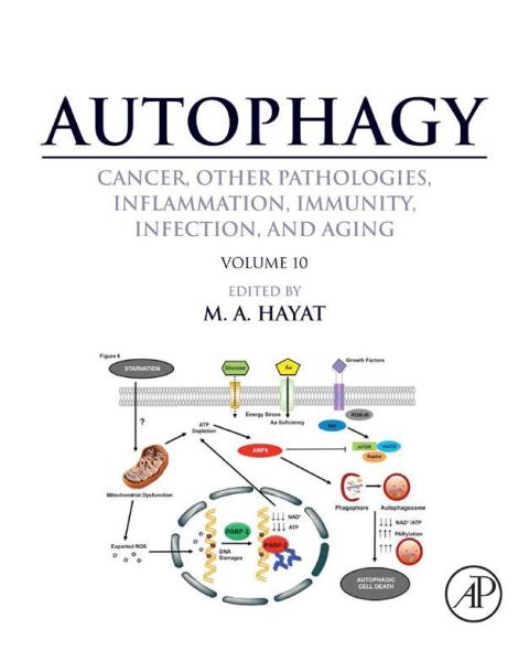 Cover image for book Autophagy: Cancer, Other Pathologies, Inflammation, Immunity, Infection, and Aging