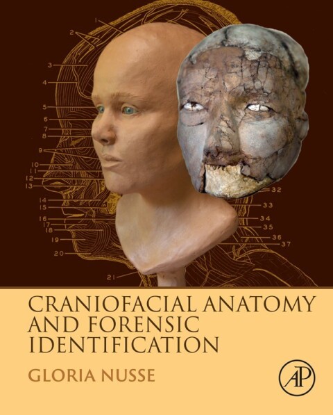 Cover image for book Craniofacial Anatomy and Forensic Identification