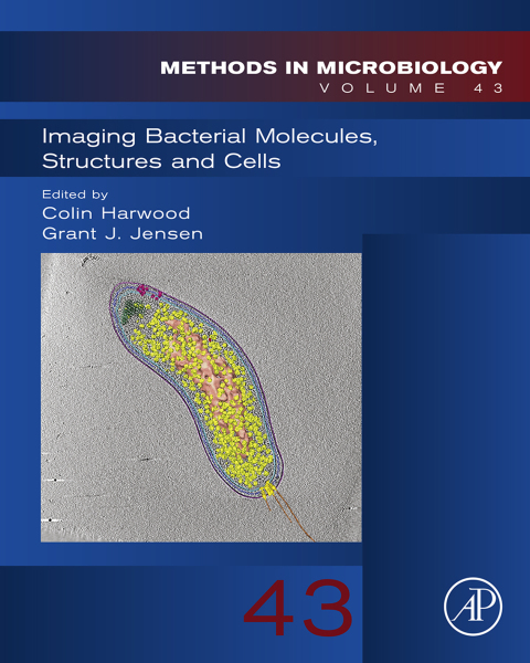 Cover image for book Imaging Bacterial Molecules, Structures and Cells