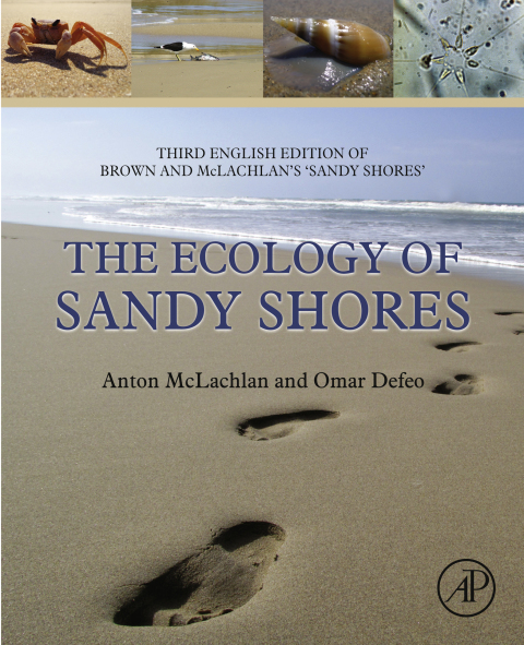 Cover image for book The Ecology of Sandy Shores