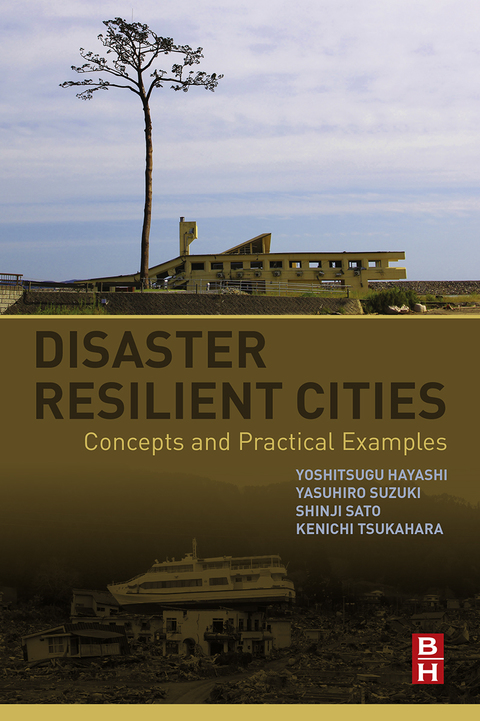 Cover image for book Disaster Resilient Cities: Concepts and Practical Examples
