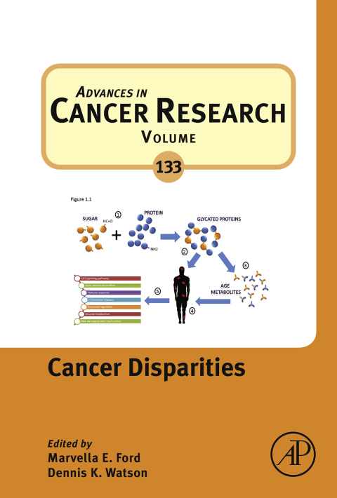 Cover image for book Cancer Disparities
