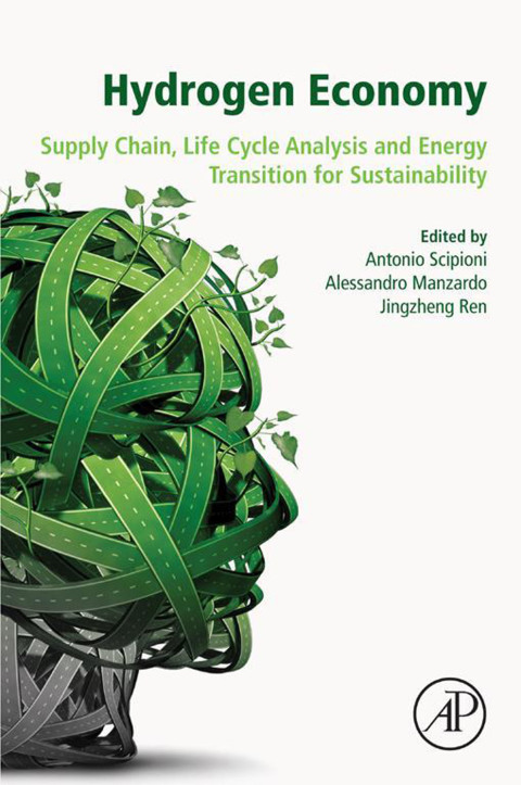 Cover image for book Hydrogen Economy