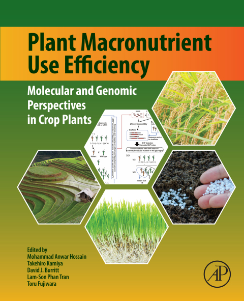 Cover image for book Plant Macronutrient Use Efficiency