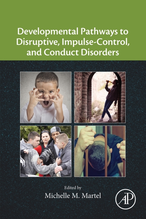 Cover image for book Developmental Pathways to Disruptive, Impulse-Control, and Conduct Disorders