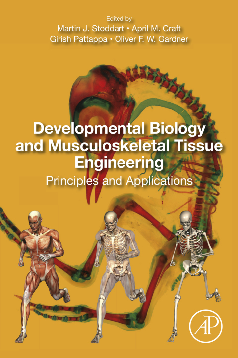 Cover image for book Developmental Biology and Musculoskeletal Tissue Engineering
