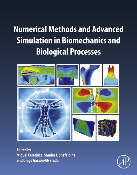 Cover image for book Numerical Methods and Advanced Simulation in Biomechanics and Biological Processes