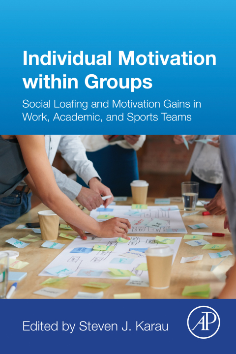 Cover image for book Individual Motivation within Groups