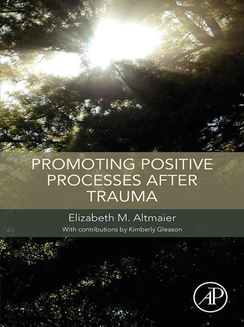 Cover image for book Promoting Positive Processes after Trauma