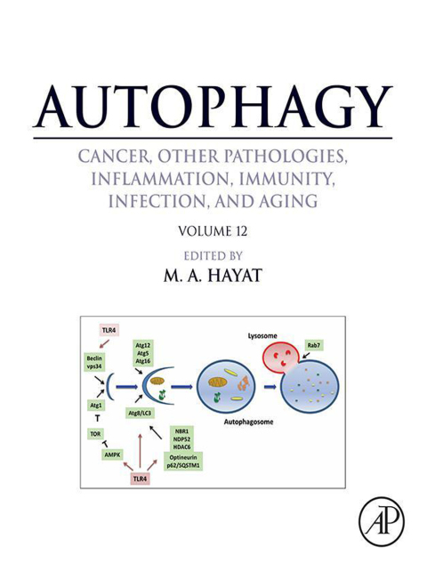Cover image for book Autophagy: Cancer, Other Pathologies, Inflammation, Immunity, Infection, and Aging