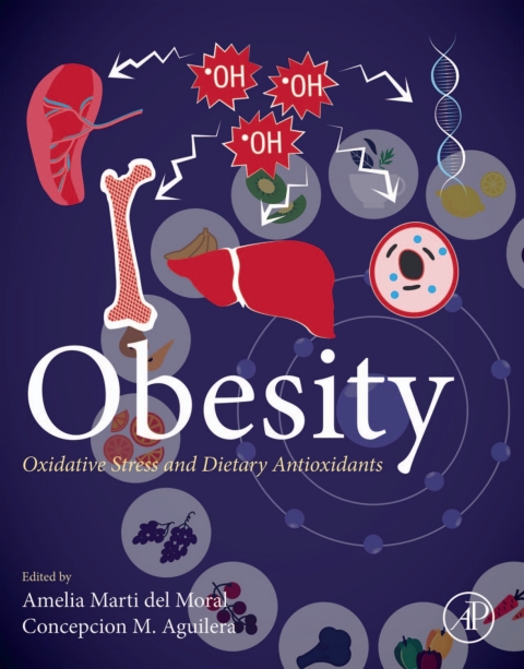 Cover image for book Obesity
