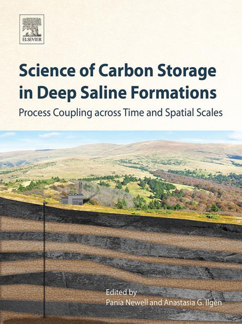 Cover image for book Science of Carbon Storage in Deep Saline Formations