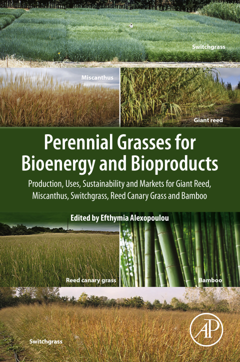 Cover image for book Perennial Grasses for Bioenergy and Bioproducts