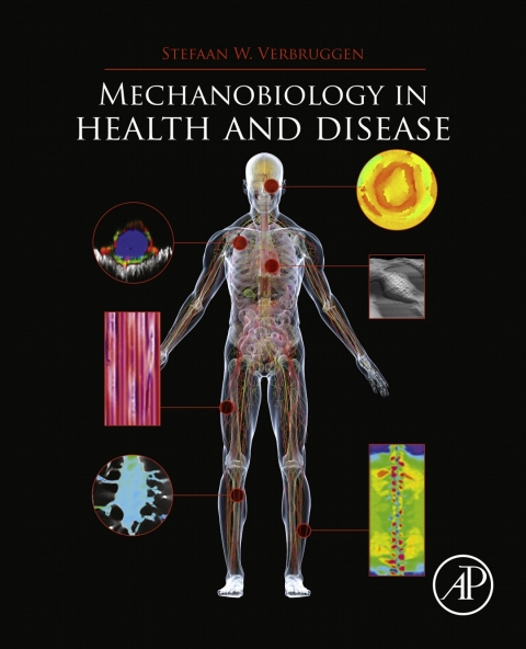 Cover image for book Mechanobiology in Health and Disease