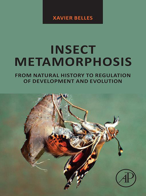 Cover image for book Insect Metamorphosis