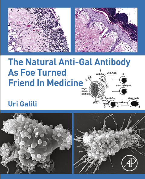 Cover image for book The Natural Anti-Gal Antibody as Foe Turned Friend in Medicine