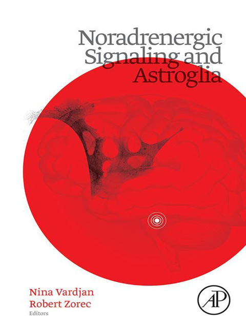 Cover image for book Noradrenergic Signaling and Astroglia