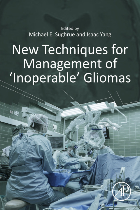 Cover image for book New Techniques for Management of ‘Inoperable’ Gliomas